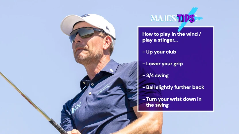 MajesTIPS: Stenson Talks Stingers