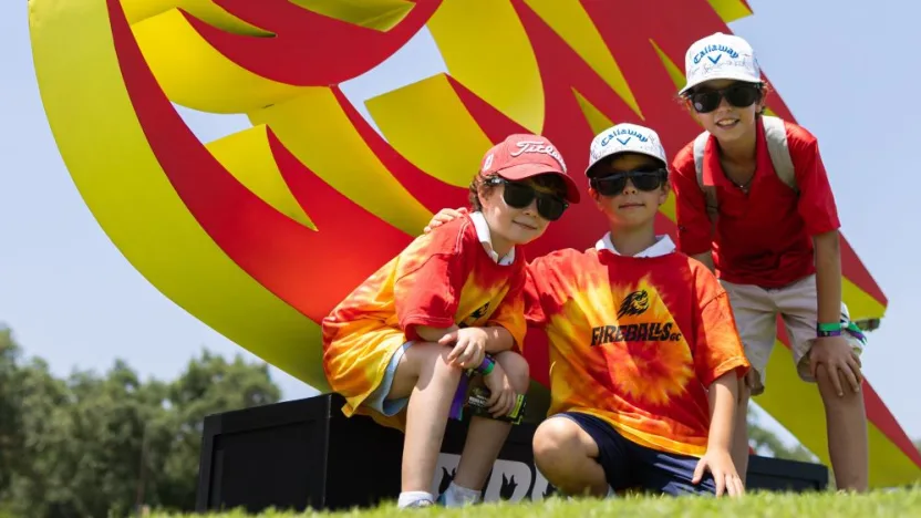 Fireballs fans