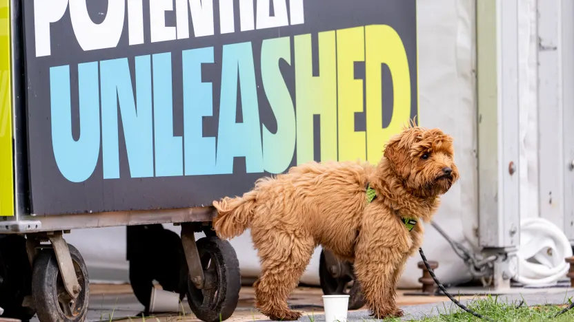A dog is seen near the Potential Unleashed sign during the semifinals of LIV Golf Team Championship Michigan at The Cardinal at Saint John’s on Saturday, August 23, 2025 in Plymouth, MIchigan. (Photo by Charles Laberge/LIV Golf)