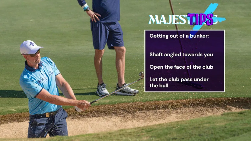 MajesTIPS: Stenson in the Sand