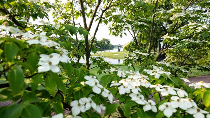 A general view of the 11th green during the practice round before the start of LIV Golf Virginia at Robert Trent Jones Golf Club on Tuesday, June 03, 2025 in Gainesville, Virginia. (Photo by Charles Laberge/LIV Golf)
