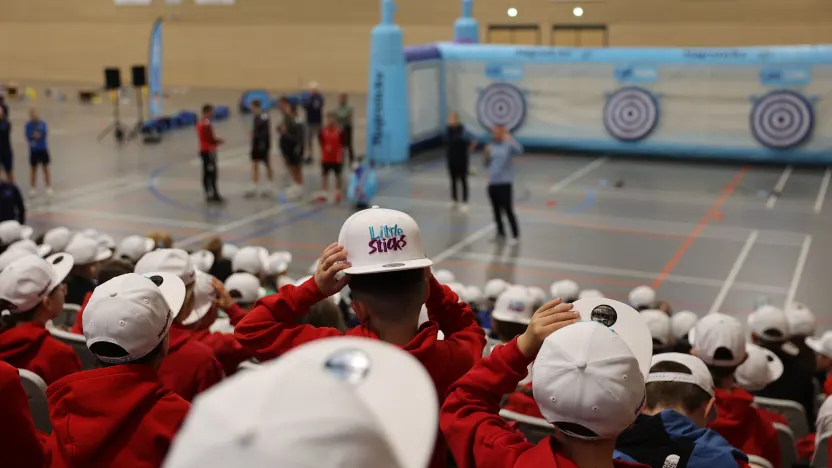 little_sticks_030226