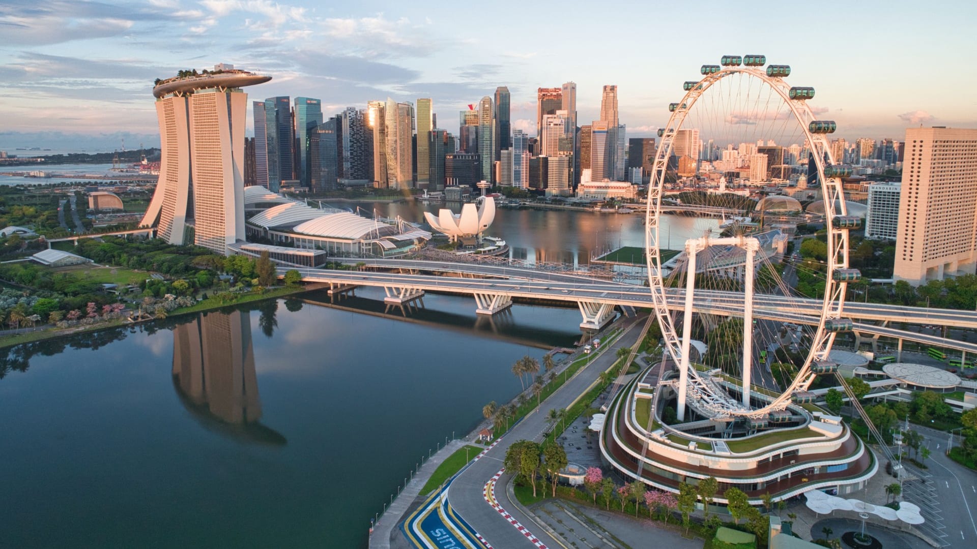 Singapore tourism board feature image