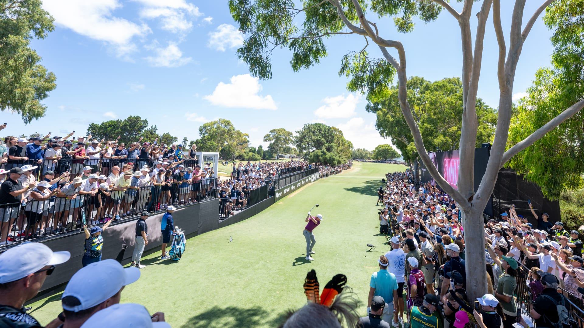 careerspageeveryonesgame